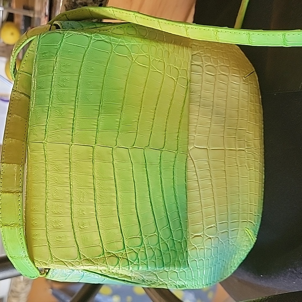 Women crossbody handbags by Nancy Gonzalez.